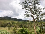 5512100_0879.JPG