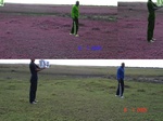 10898gt-104-wetland-moist-flood-plain-02.jpg
