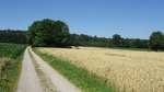 2016-07-25_03-26-56_DSCF1513.JPG