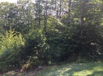2017-09-06_17-11-59_East.jpg