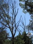 2012-10-11_22-34-46_TX-SM-11-3.jpg