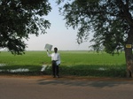 7925gt136a_ricecrop_krishnadelta.jpg