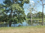 5829100_1485.JPG