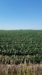 2017-07-06_08-16-57_IMG_20170705_171737.jpg