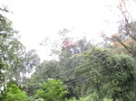 15309IMG_4147.JPG