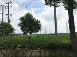 2017-09-12_10-57-02_16AB17CB-D01B-461F-A8CA-C0E4204D9410.jpg