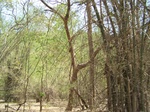 1789627042008(30).JPG