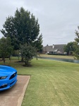 2020-10-26_22-02-57_901F2BDF-4804-4561-8F61-440574A7B43B.jpeg