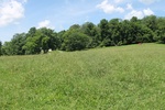 2017-06-05_15-08-19_May 17 W.jpg