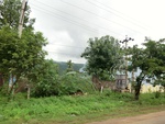 40615CIMG6541.JPG
