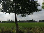 2017-09-12_10-52-46_D17758D0-8E65-4140-97C3-55537A7FC48D.jpg