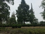 2017-09-11_22-17-28_BE5948DB-E7B5-4A2F-A8E1-E2DD11BECF56.jpg