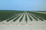 2022-05-26_14-16-00_EBACB7D7-A730-4DA6-97BD-606CB0CBBD4D.jpeg