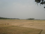 18170DSC08485.JPG