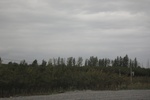 2019-10-16_11-58-29_4E8A3981.JPG