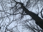 2020-02-21_10-41-50_D09E9C7A-FBC5-405C-942B-C775FFED4550.jpg