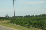 2022-05-26_14-15-34_C2936FD6-806D-4E57-8849-2636D3104775.jpeg