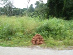 20034P1010884.JPG