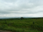 20411P1020268.JPG