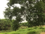 2017-09-12_10-32-38_01EEBEFA-F836-46F4-A3CE-3ACEF84475A8.jpg