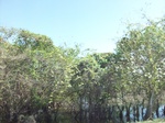 5826100_1482.JPG