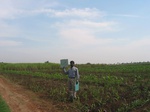 7863gt068a-cropland-rainfed-supplemendal-mixed-crops.jpg