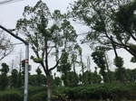 2017-09-10_08-38-27_8FDD3A85-09AD-4936-8406-1FE3E48076A7.jpg