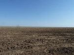 40386P1070763.JPG