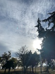 2020-11-04_15-53-07_2020-11-4-15-26-55.jpg