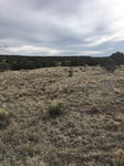 2017-02-20_17-39-17_537E37ED-FD45-47F6-B263-1F82A0597EC1.jpg