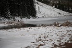 2022-01-19_14-01-30_4E8A1428.JPG