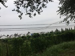 2017-09-12_10-23-57_C9CB85B8-0743-48C4-8398-7C9AFC478484.jpg