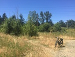 2017-07-05_15-39-42_W.jpg