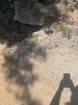 2020-08-25_20-10-43_21AB408D-9B9C-478F-81B3-F9EA4E2BDC4D.jpeg