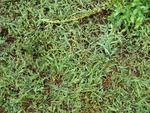 2017-09-02_08-40-01_DSC01639.JPG