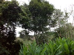 5543100_0925.JPG