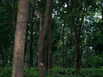 547711052008(47).JPG