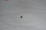 405IMG_3514.JPG