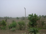 3889RIMG0193.JPG