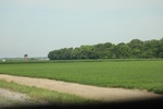 2022-06-12_15-03-52_7D7DD346-047E-4B9D-AA25-9CD0B3B56EBE.jpeg
