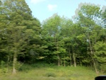 57765IMG_1052.JPG