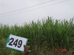 72230249d-rainfed-irrigated-groundwater-cotton-dominant-sugarcane-gram.jpg