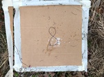 2020-10-30_10-44-36_Lake Arcadia Feb 15-2020 Trap 8.png