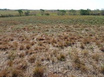 39178BUTL20110728E.JPG