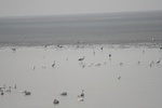 4161IMG_8798.JPG
