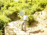11264gt081-shrubland-1.jpg