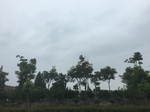 2017-09-10_07-06-53_5437DF37-9C48-4095-9432-10D682BF9C0E.jpg