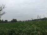2017-09-10_20-41-56_701362AB-9FE6-48EB-AB74-CA6E5D083E63.jpg