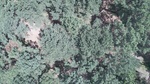 2017-06-12_13-57-37_DJI_0028.jpg