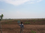 7844gt058b-fallow-farms-very-very-dry.jpg